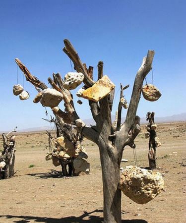 باغ مرموز و عجیب با میوه های سنگی در ایران ! + تصاویر باغ مرموز و عجیب با میوه های سنگی در ایران ! + تصاویر