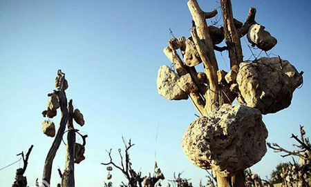 باغ مرموز و عجیب با میوه های سنگی در ایران ! + تصاویر باغ مرموز و عجیب با میوه های سنگی در ایران ! + تصاویر