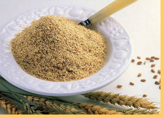 خواص جوانه ی گندم