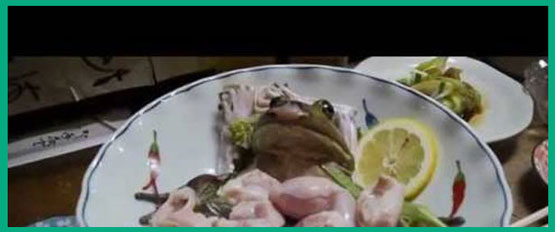 انسان ها سالی 1 میلیارد قورباغه می خورند!!