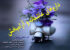 داروهای عاشقانه و سرشار از احساس و آرامش