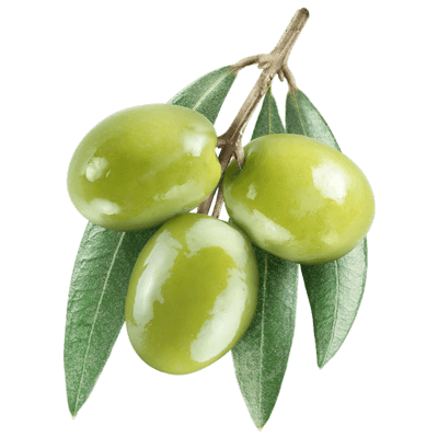 خواص درمانی زیتون