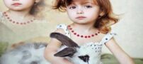 عکس های زیبا از آلبوم جیگرهای واقعا خوردنی
