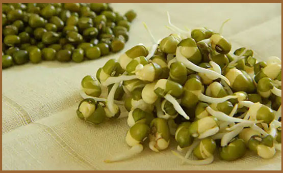 خواص ماش