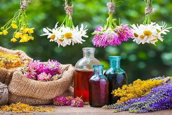 8 گیاه و سبزی عالی برای تسکین دردها