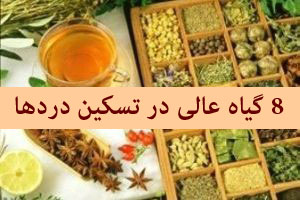 8 گیاه و سبزی عالی برای تسکین دردها 8 گیاه و سبزی عالی برای تسکین دردها