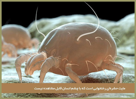 خواب، استرس و رابطه آن با تشک