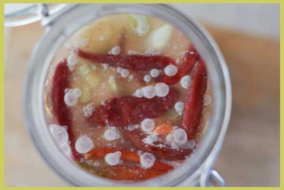 با مواد غذایی کپک زده چه کنیم