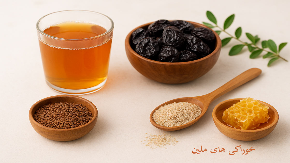 تفاوت ملین و مسهل در طب سنتی | کدام برای یبوست بهتر است؟
