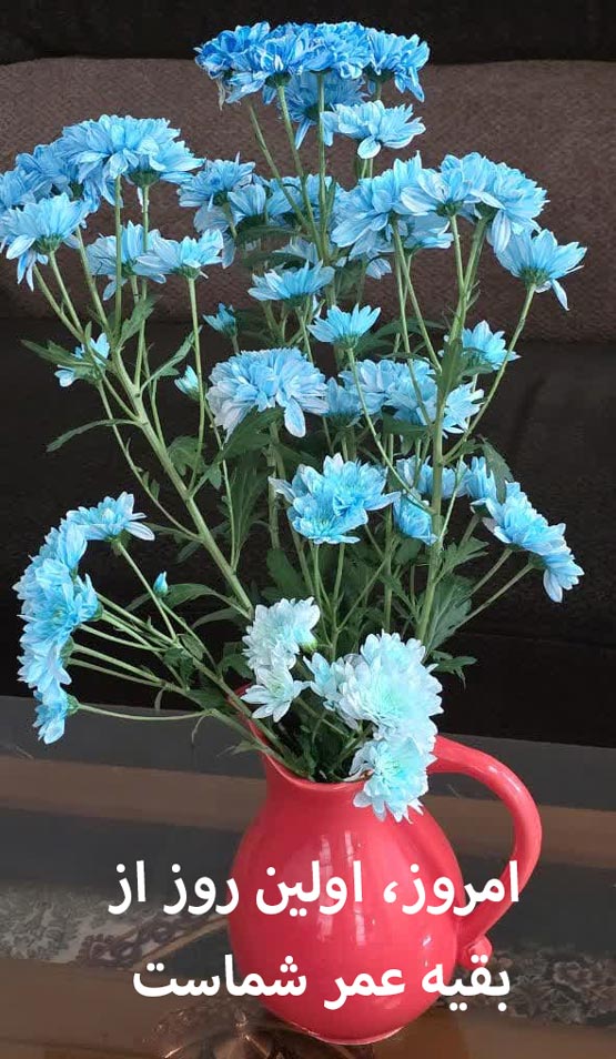 جملاتی بسیار زیبا و تاثیر گذار در زندگی