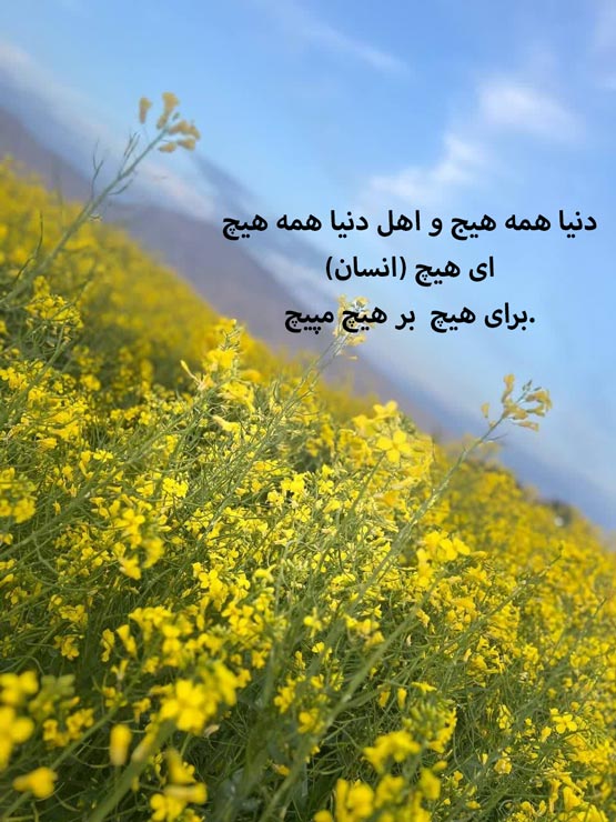 جملاتی بسیار زیبا و تاثیر گذار در زندگی