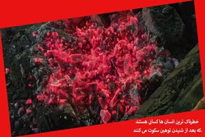 جملاتی بسیار زیبا و تاثیر گذار در زندگی