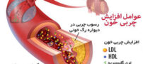 بهترین گیاه برای کاهش چربی خون
