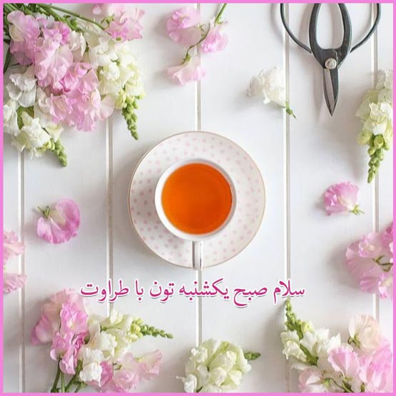 پیام صبح بخیر | جدیدترین متن‌های خاص، دلنشین و عکس نوشته