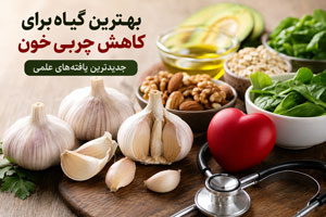 بهترین گیاه برای کاهش چربی خون | جدیدترین یافتههای علمی بهترین گیاه برای کاهش چربی خون | جدیدترین یافتههای علمی