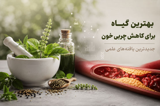بهترین گیاه برای کاهش چربی خون | جدیدترین یافته‌های علمی