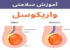 واریکوسل چیست؟ علائم، علت، درمان با تغذیه