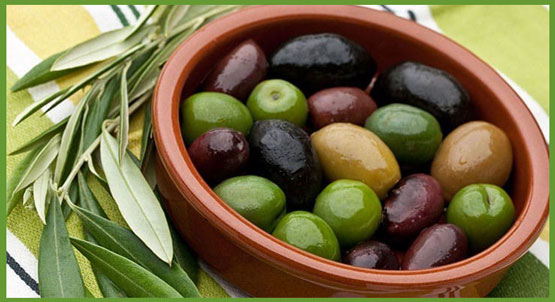 خواص درمانی و خوراکی زیتون