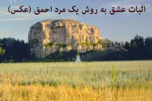 اثبات عشق به روش یک مرد احمق (عکس) اثبات عشق به روش یک مرد احمق (عکس)