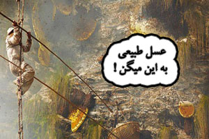 عسل طبیعی به این میگن ! ( + تصاویر) عسل طبیعی به این میگن ! ( + تصاویر)
