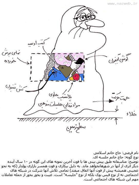 عکس های خنده دار از گونه شناسی انواع زن و دختر!