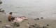 عکس های ناراحت کننده و دلخراش از لب دریا