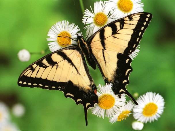 عکس، لحظاتی آرامش برای کاربران عزیز ناز وب
