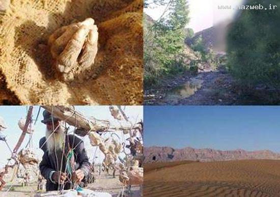 عجایب چهارگانه و ترسناک ایران + عکس عجایب چهارگانه و ترسناک ایران + عکس