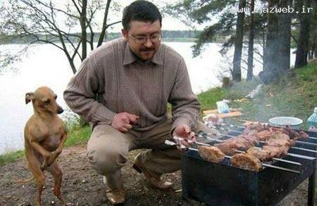 کمیاب ترین سوژه های خنده دار ایرانی