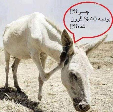 کمیاب ترین سوژه های خنده دار ایرانی