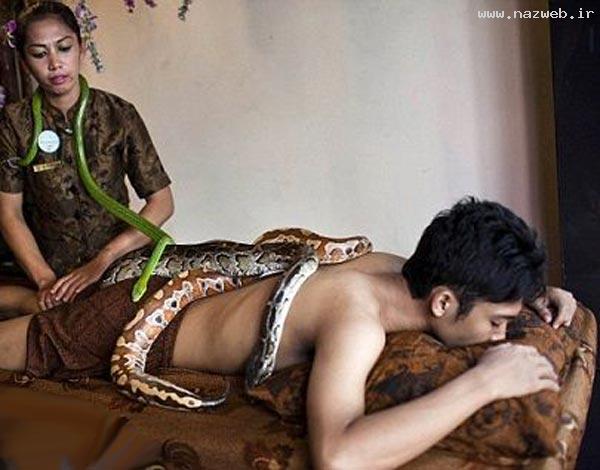 موسسه ای وحشتناک برای از بین بردن ترس! عکس