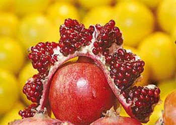خنچه‌آرایی شب چله یا یلدا