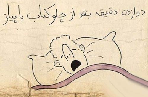 عکس عجیب و دیدنی یک مرد بعد از خوردن کباب!