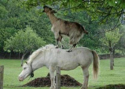 عکس های بسیار دیدنی و منتخب روز