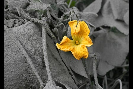 عکس های بسیار دیدنی و برگزیده روز