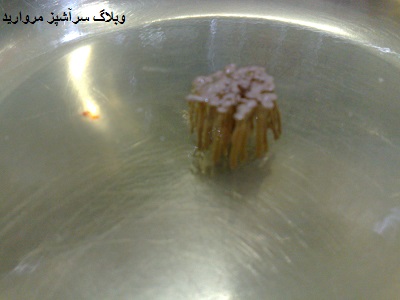 آموزش تهیه ژله تزریقی به شکل گل + تصویر