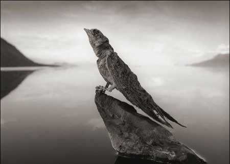 عکس های ترسناک از دریاچه ی مرگبار