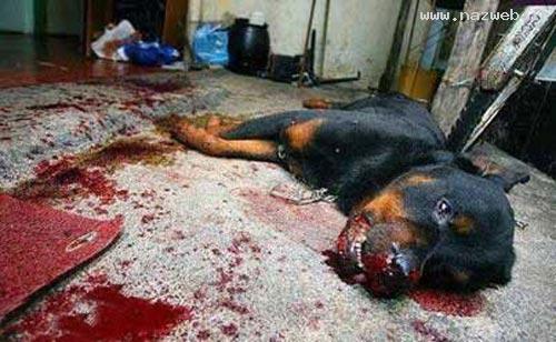 عکس دیدنی هیچ وقت زود قضاوت نکن