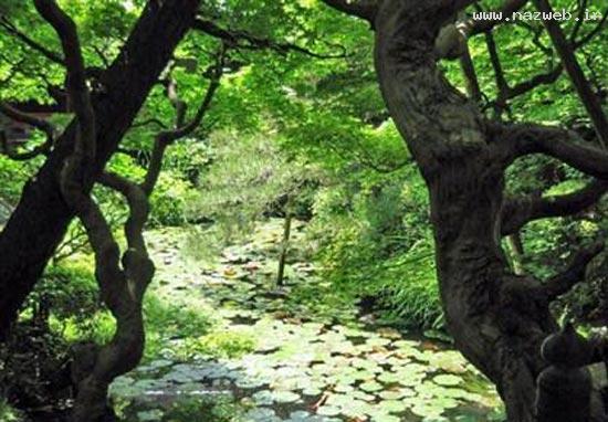 عکس های دیدنی رمانتیک ترین مناطر سراسر دنیا