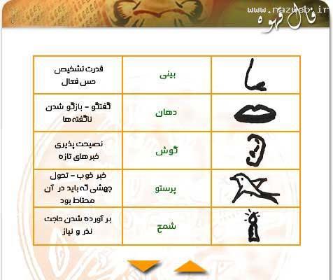 آموزش تصویری فال قهوه + معانی و مفهوم اشکال