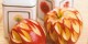آموزش طراحی تزئین سیب