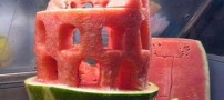 تزنین بسیار زیبا و متنوع هندوانه