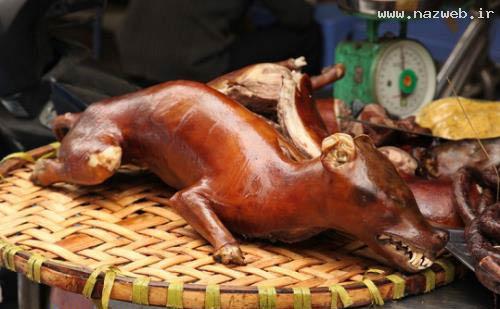 فروش عجیب نوعی گوشت بعنوان محبوبترین غذا! عکس