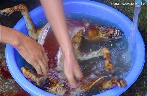 فروش عجیب نوعی گوشت بعنوان محبوبترین غذا! عکس