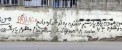 احمق به این میگن!! می گی نه، ببین