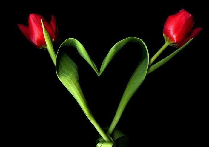 ناز ترین عکس های عاشقانه رمانتیک و با حال