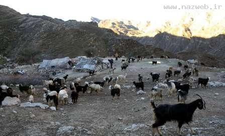 کشف خانواده ای که جزو جمعیت ایران نبود!!! (+عكس)
