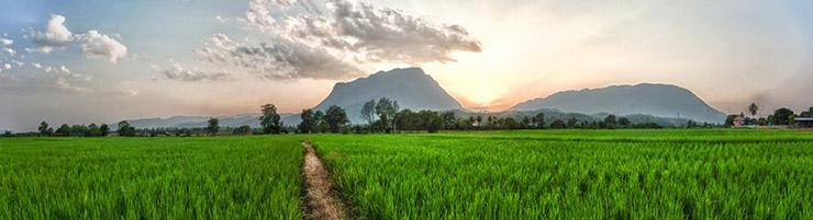 تصاویری رویایی از زمین (نبینی ضرر می کنی)