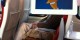عکس های طنز و دیدنی از نوع خلاقیت در زمان بیکاری