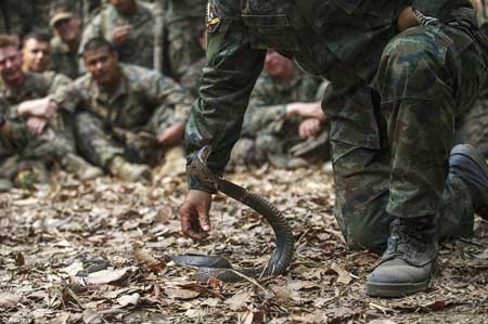 تصاویر چندش آور برای تمرین زنده ماندن! 